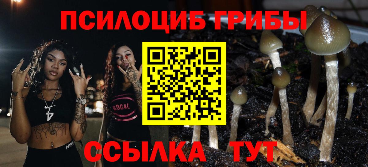Галлюциногенные грибы GOLDEN TEACHER  Псилоцибиновые грибы Cubensis  Вход с VPN  Краснокамск 