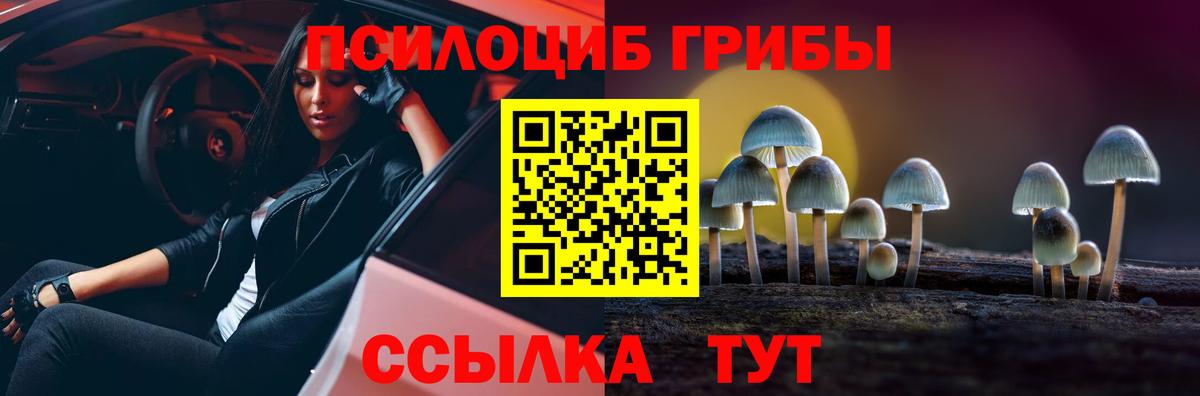 Псилоцибиновые грибы мухоморы Краснокамск